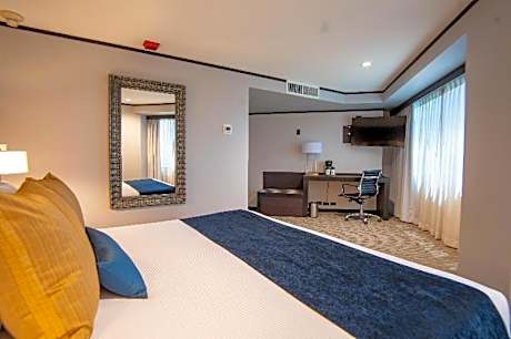 King Room with Garden View