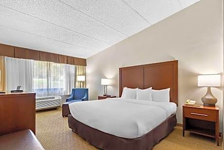 King Room - Non-Smoking