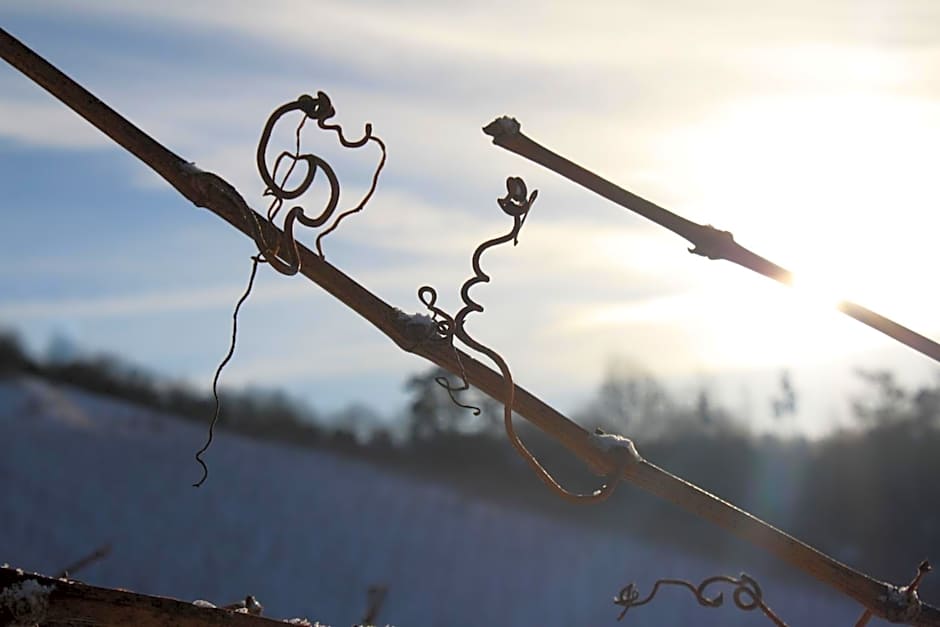 Schwarzer Adler - Hotel Garni