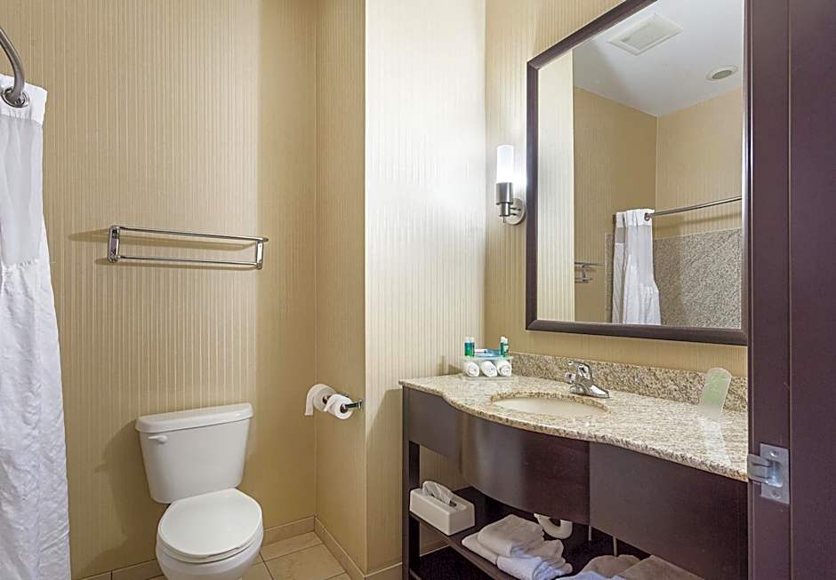 Holiday Inn Express Hotel & Suites Byram By IHG