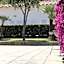 Poggio Aragosta Hotel & Spa