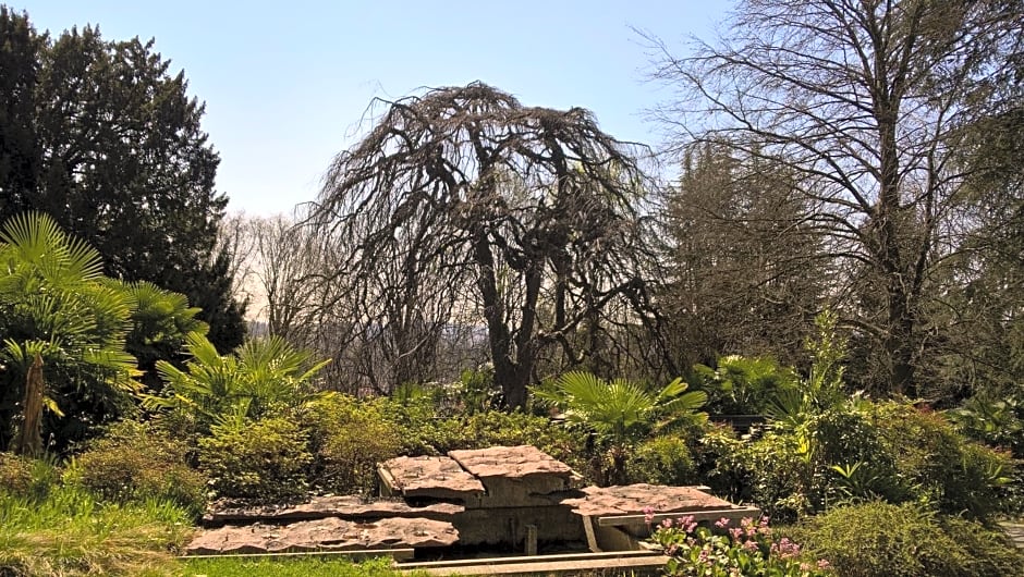 Villa Magnolia Lago Maggiore
