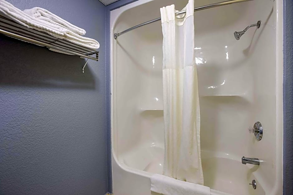 Quality Inn & Suites Big Rapids near University