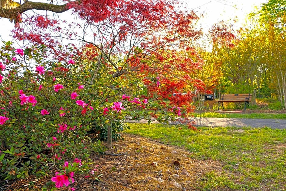 Holiday Inn Express Hotel & Suites Nacogdoches By IHG