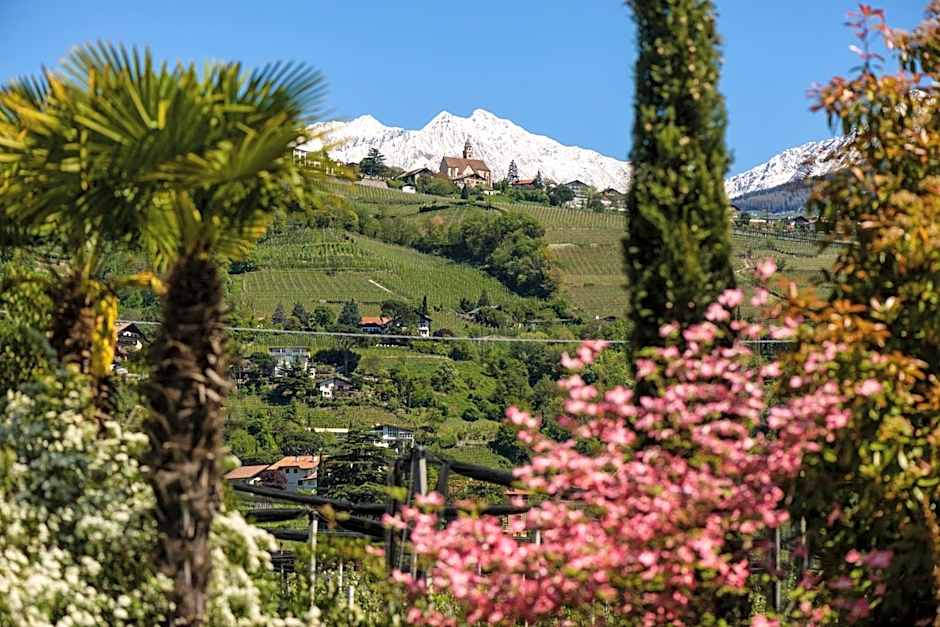 FAYN garden retreat hotel