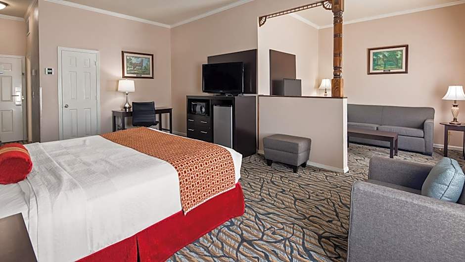 Best Western Spring Hill Inn & Suites