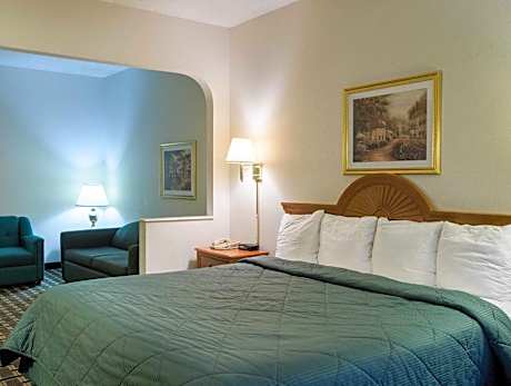 1 King Bed, Nonsmoking