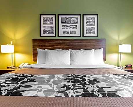 1 King Bed  No Smoking  Accessible Room