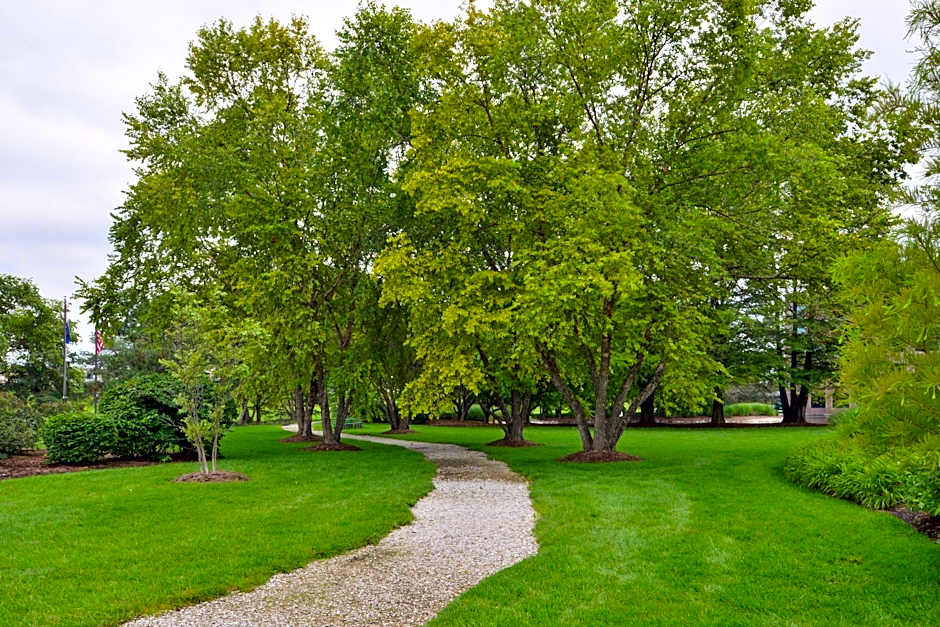 Elimwood Hotel, A Ramada by Wyndham