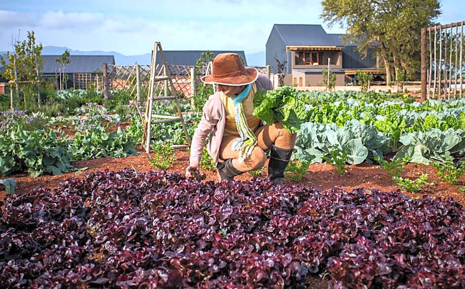 Botlierskop The Village Lodge