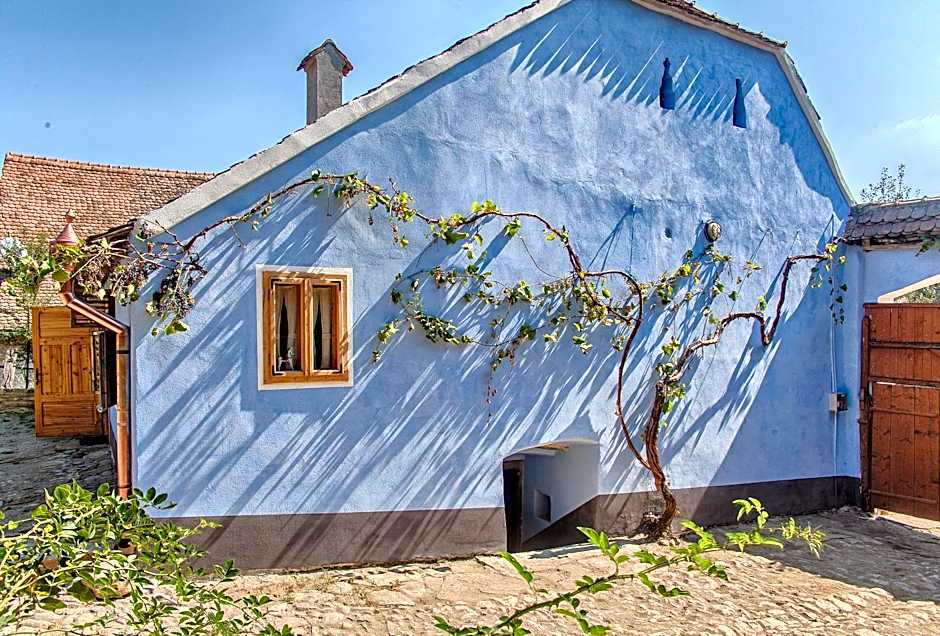 Viscri 32 - White Barn and Blue House