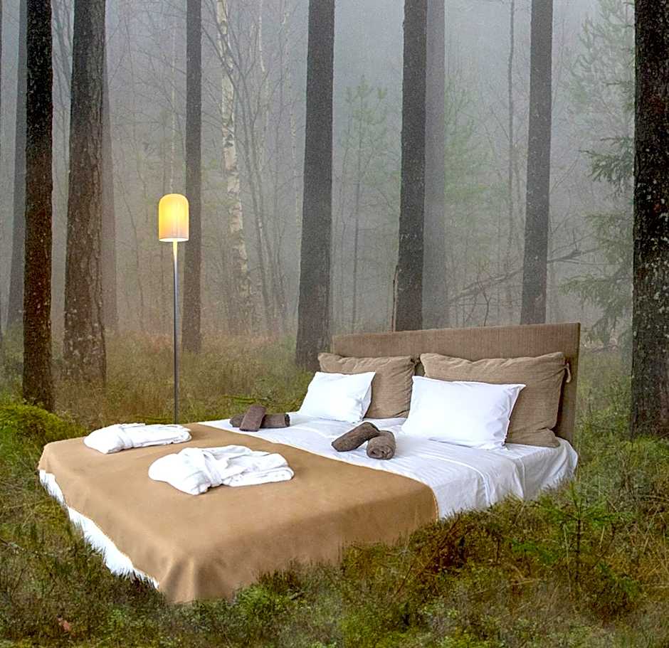 Johan Design & SPA Hotel