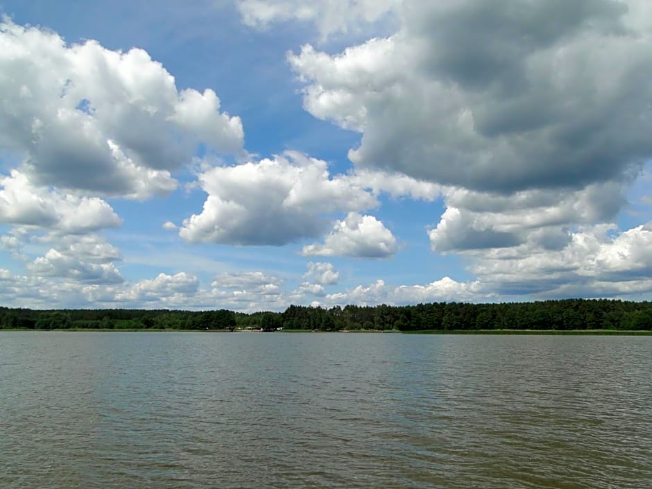BORY TUCHOLSKIE SKÓRZENNO KO¿O OSIEKA