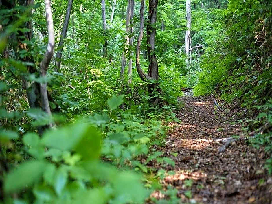 Otaru Asarigawa Onsen Hotel Musashitei