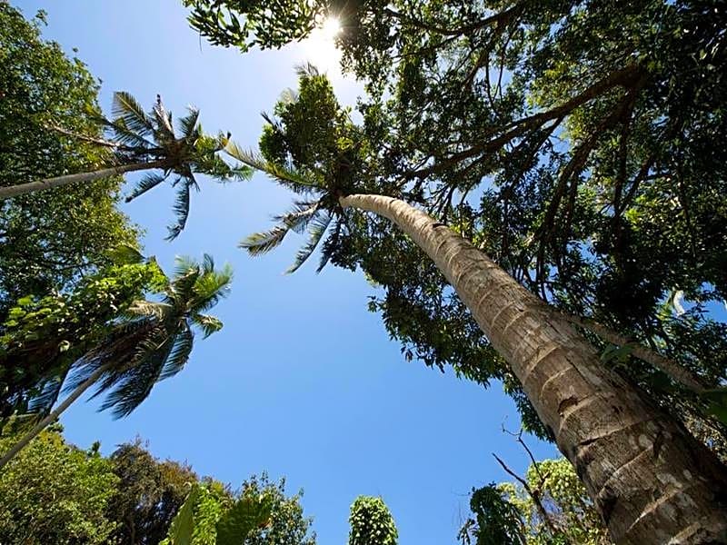 Ala Amid Bed And Breakfast