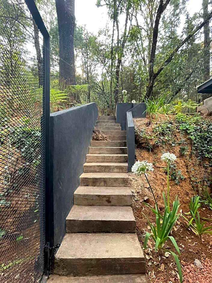 Hotel Oxú Solo adultos