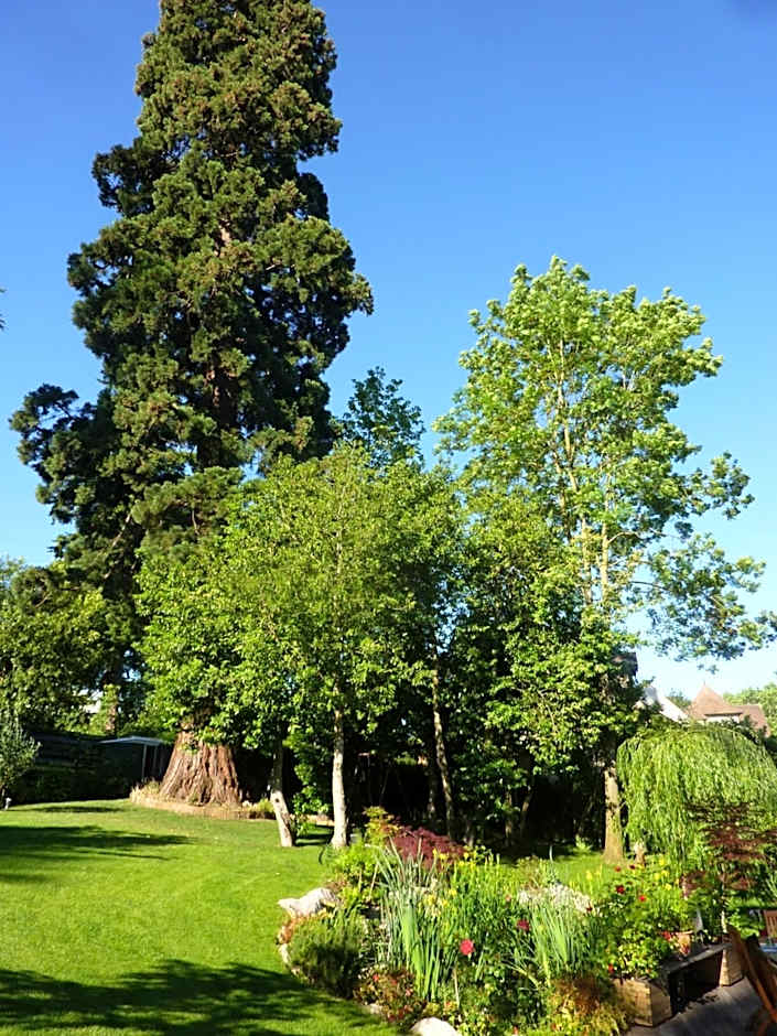 Les Chambres D'oriane