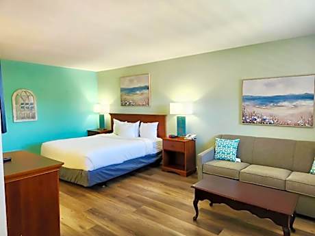 King Room - Non-Smoking Pet Friendly