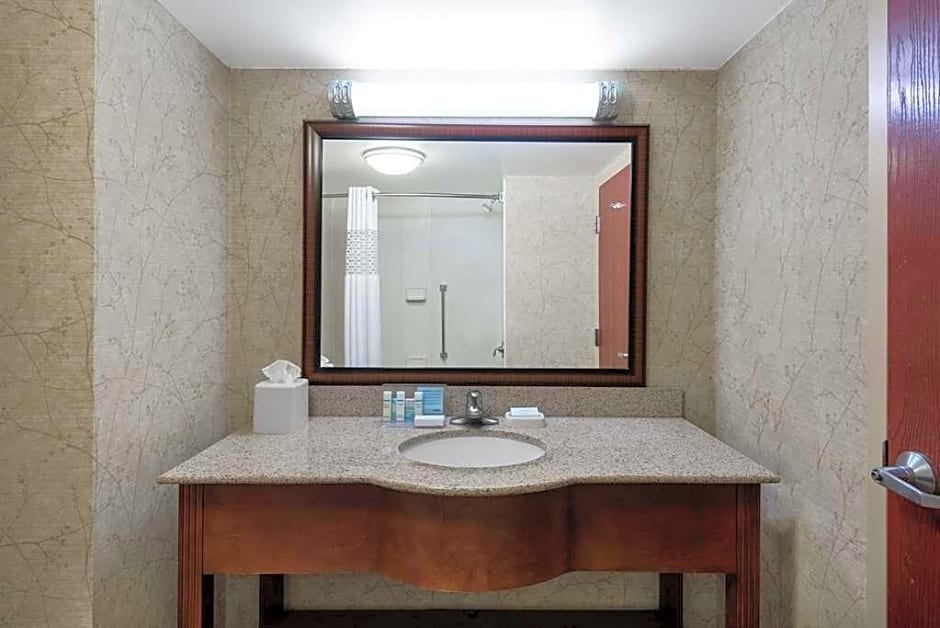 Hampton Inn Roanoke/Hollins - I-81