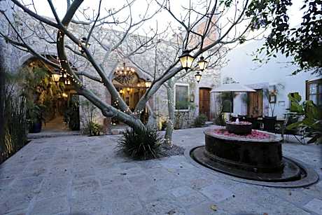 Orchid House San Miguel de Allende