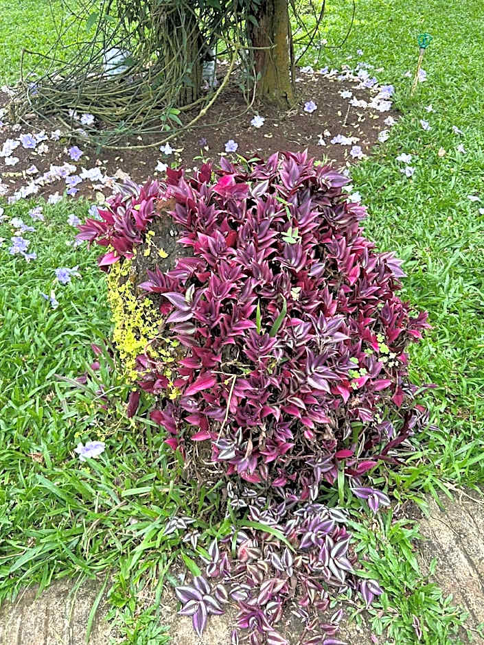 Beaumont Plantation Retreat