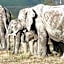 Gondwana Game Reserve