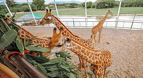 Safari Hotel And Villas