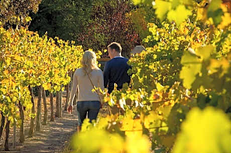 Discovery Parks - Clare