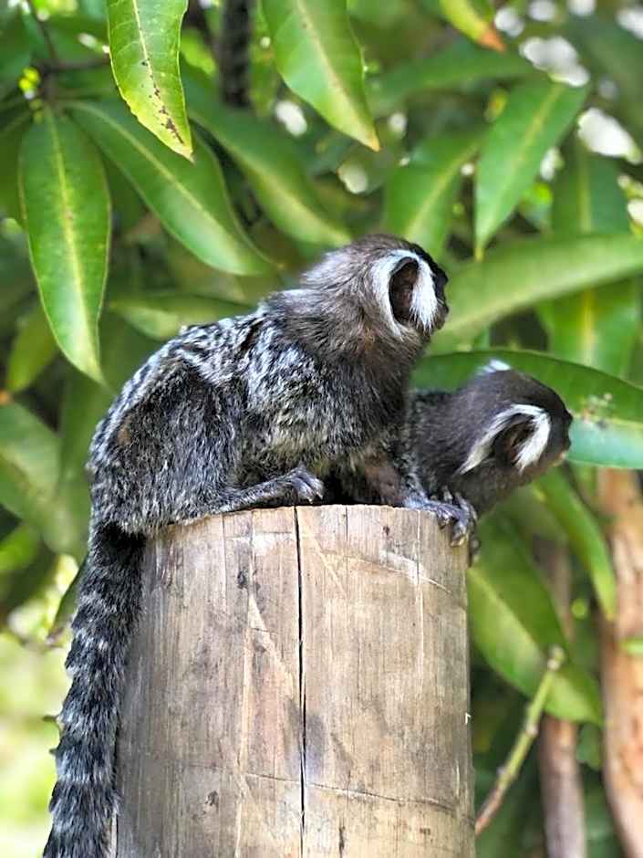 CHALÉ CAPOEIRA DOS MILAGRES