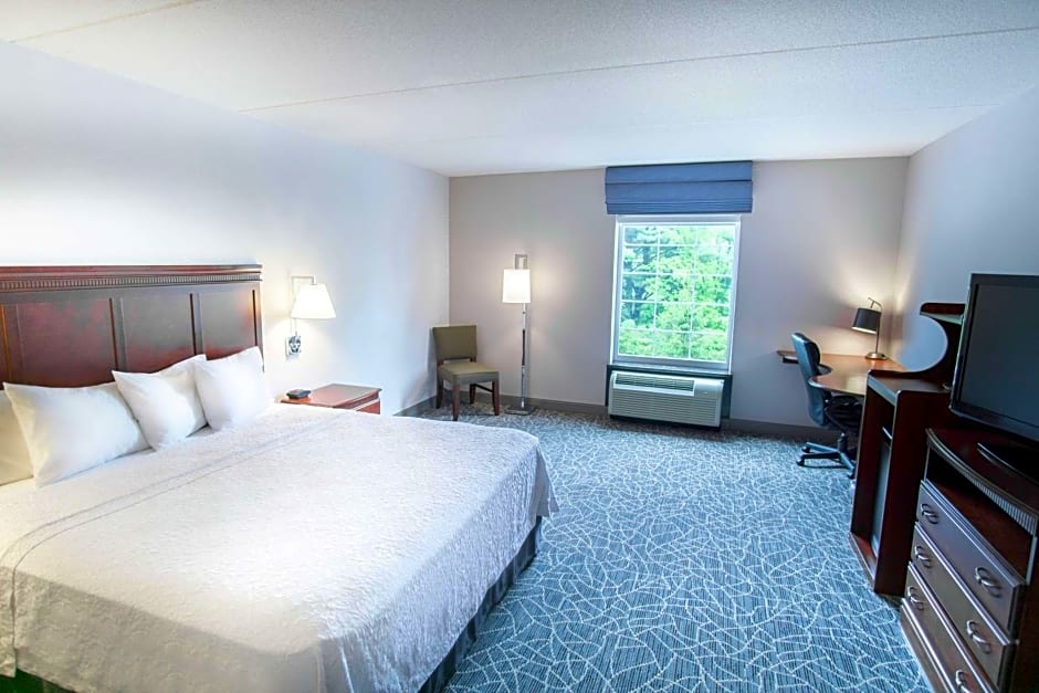 Hampton Inn By Hilton & Suites Berkshires-Lenox
