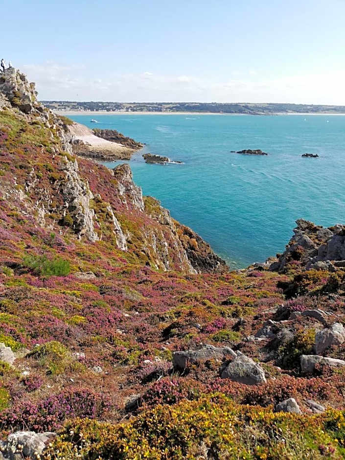 ibis Saint Brieuc Yffiniac