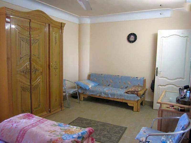 alexandria agamy betash