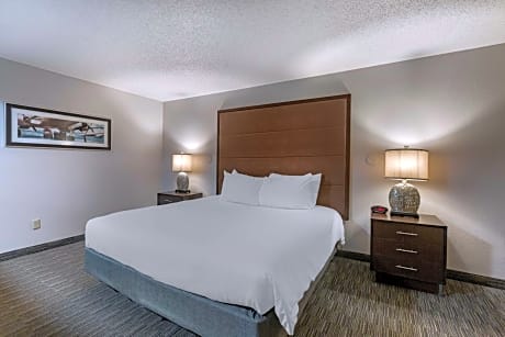 One-Bedroom King Suite with Sofa Bed and Wet Bar