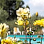 Hotel Panoramic Montepulciano