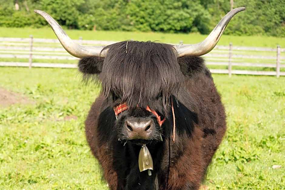 Café-Pension Margret