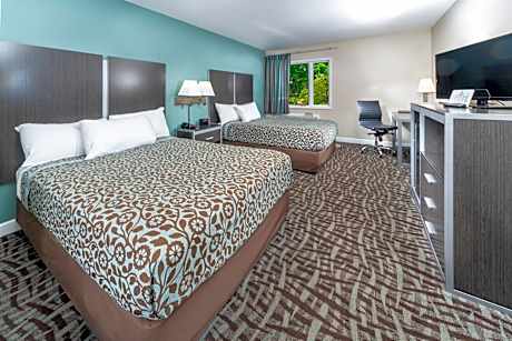 Standard Room with Two Queen Beds