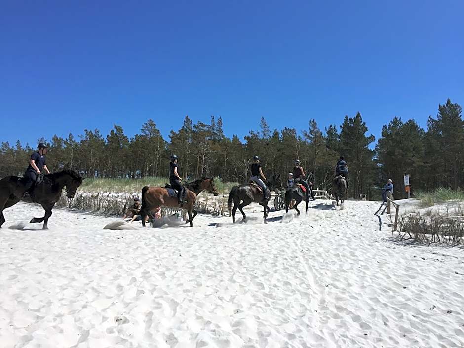 Domki nad morzem Sasino Mojo Miodno Checz