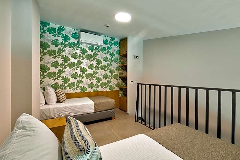 White Olive Premium Laganas