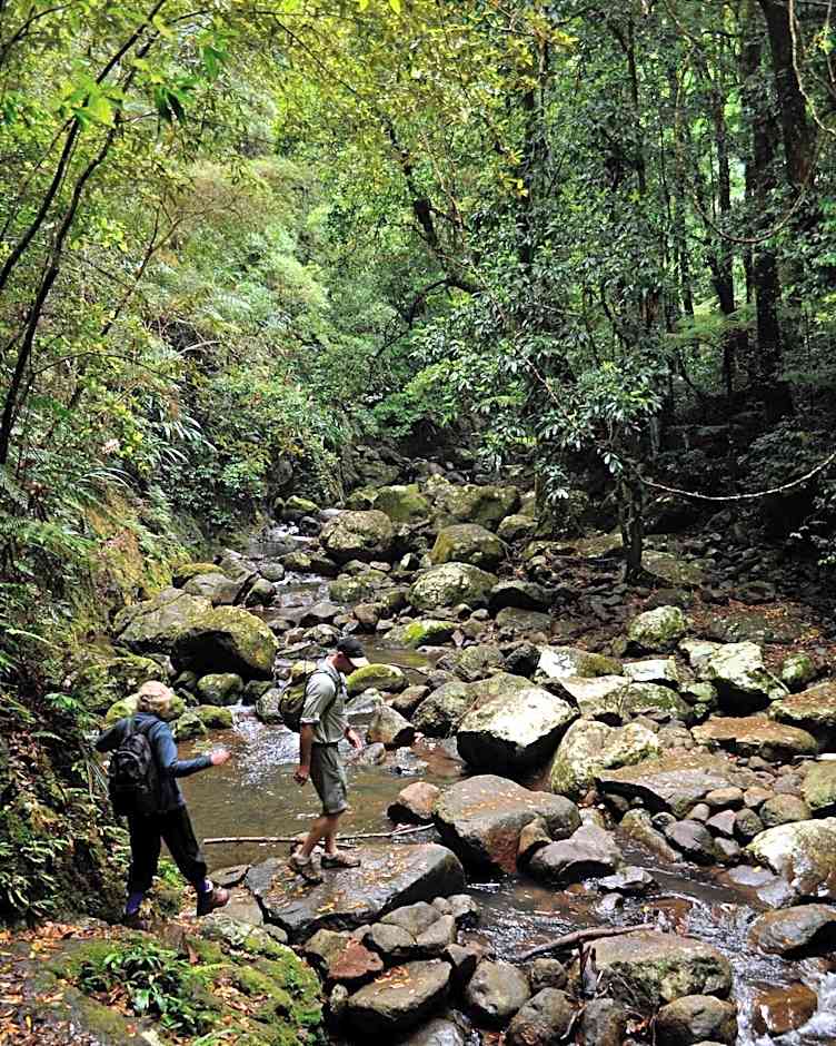 Binna Burra Sky Lodges
