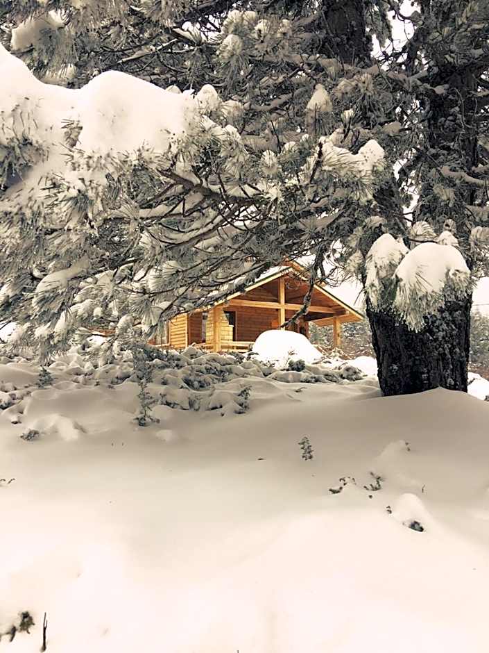 Uludag Orman Koskleri