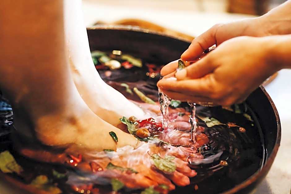 Daintree Eco Lodge & Spa