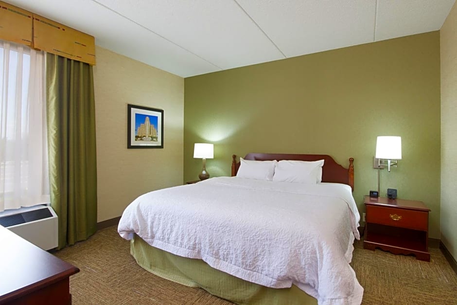 Hampton Inn Buffalo-South/I-90