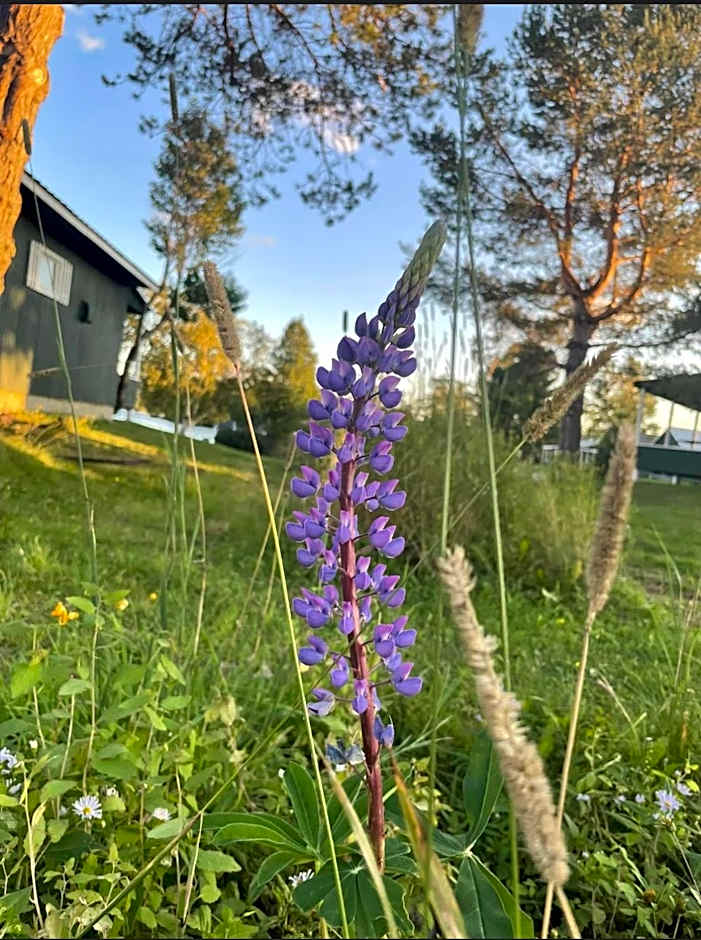 Rangeley Town & Lake