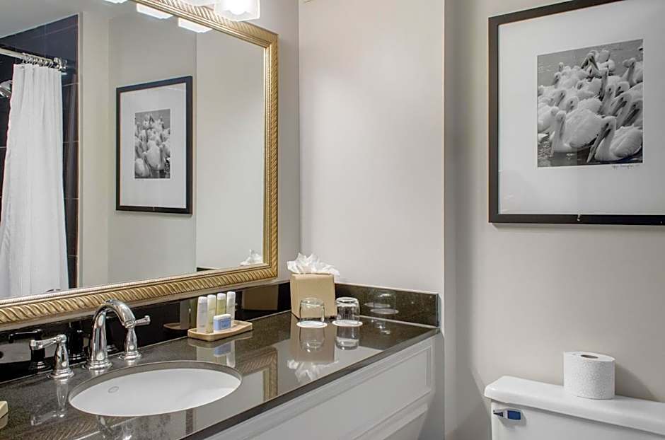 THE RIVERFRONT HOTEL NEW ORLEANS