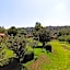 Finca Marix, Villa del Carbón