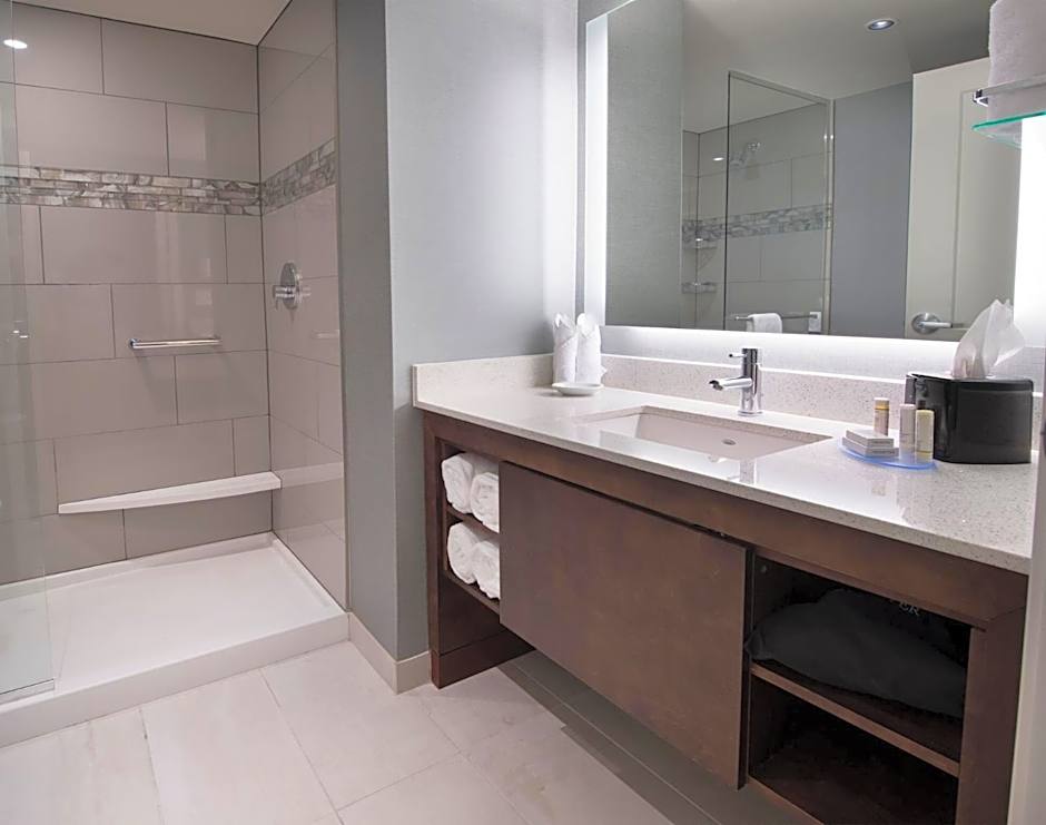 Residence Inn by Marriott Atlanta Perimeter Center/Dunwoody