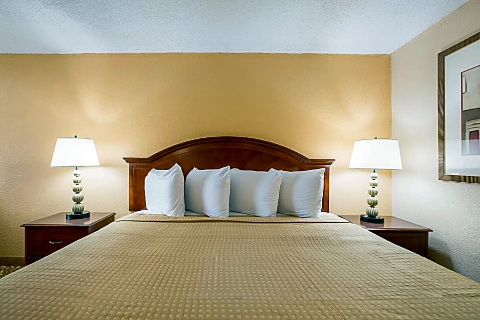 Rodeway Inn Metro Airport