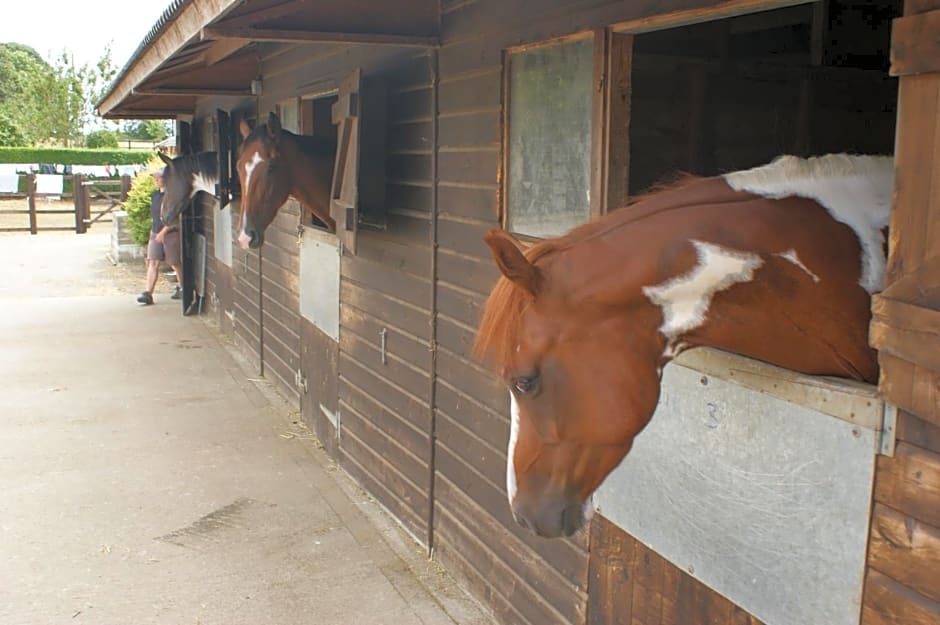 Cary Fitzpaine House