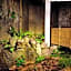 Hakuba Onsen Ryokan Shirouma-So