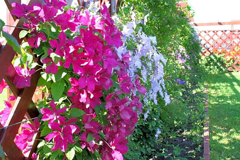 Willa Mycyny oraz domki